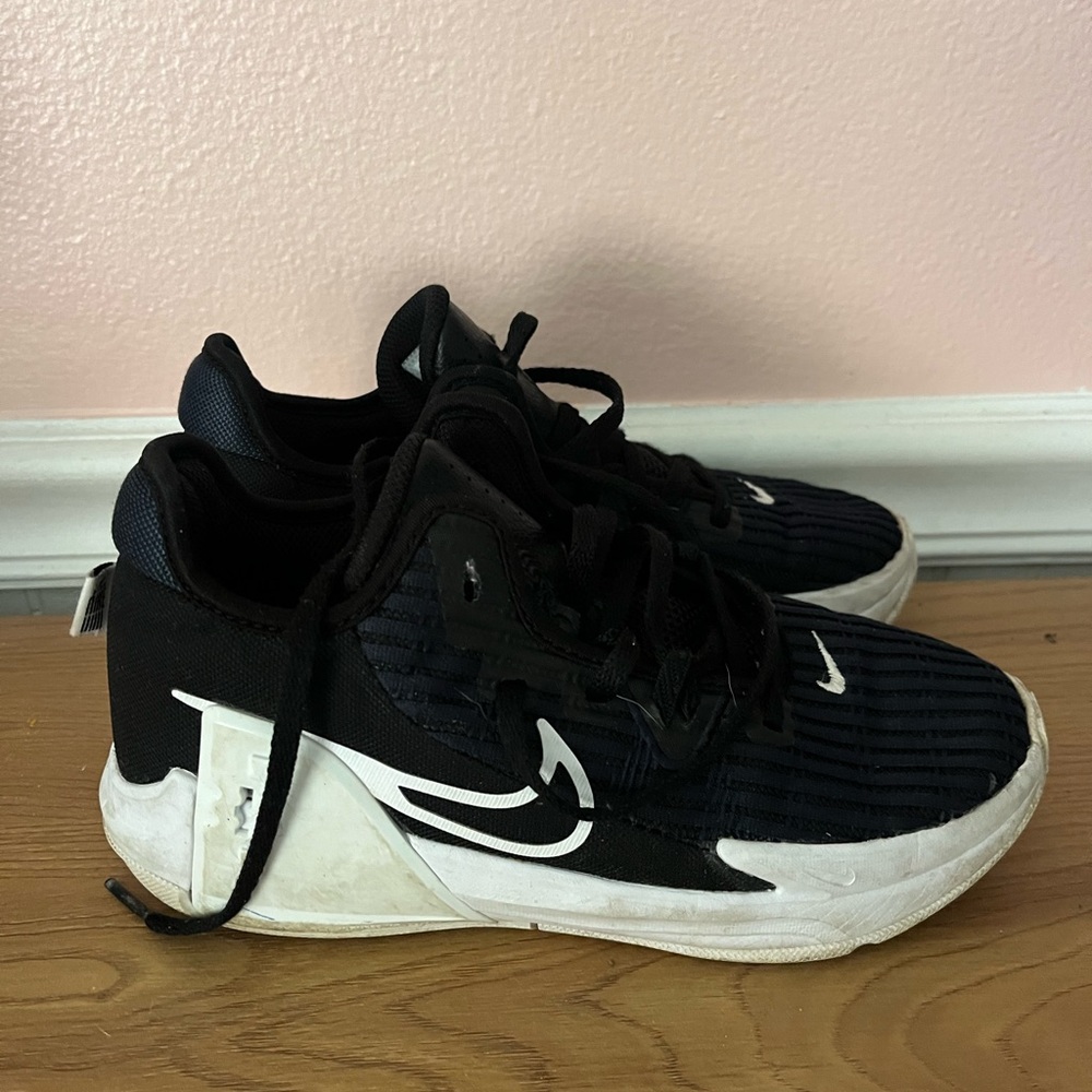 LeBron Witness 6